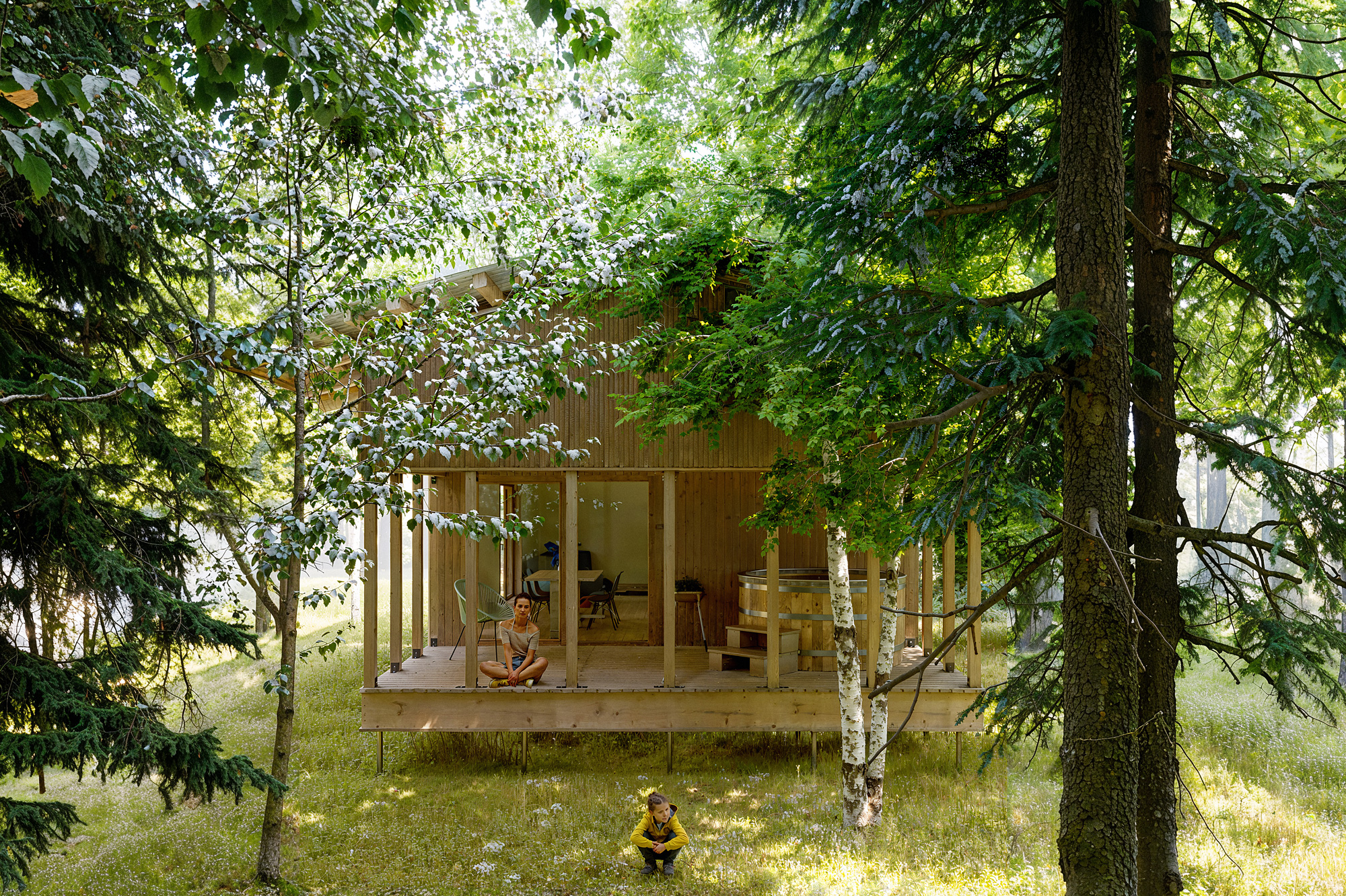 Cabin in the Forest