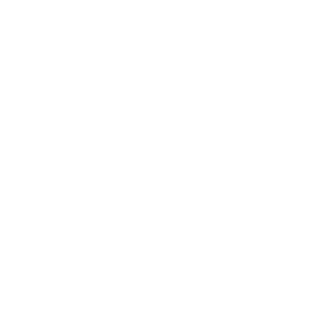 Corona Renderer